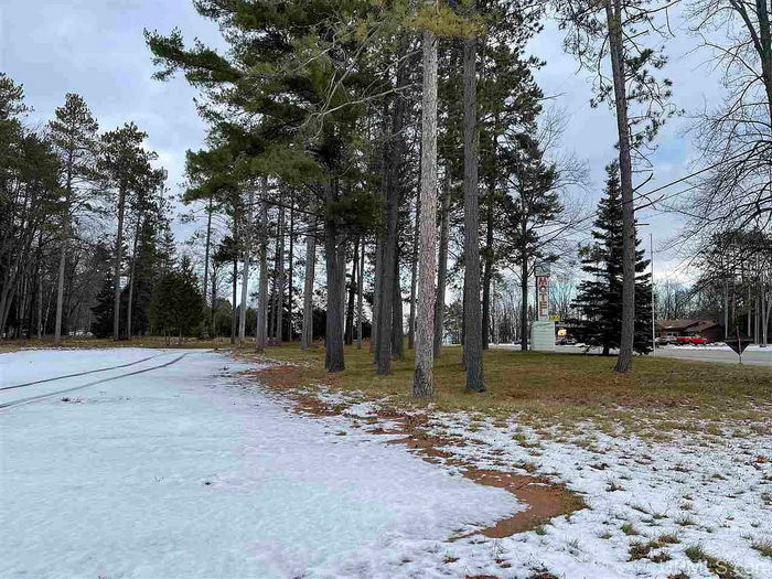 Norway Pines - Real Estate Listing (newer photo)